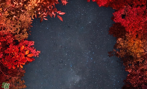 ����ɫ��ʲô��ɫ������ɫ�ں���ɫ